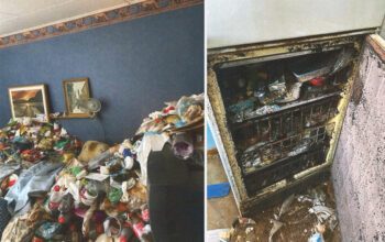 Enligt hyresvärden, Lulebo, var lägenheten i dåligt skick och den tidigare hyresgästen döms nu till att betala 175 000 kronor för "onormalt slitage".