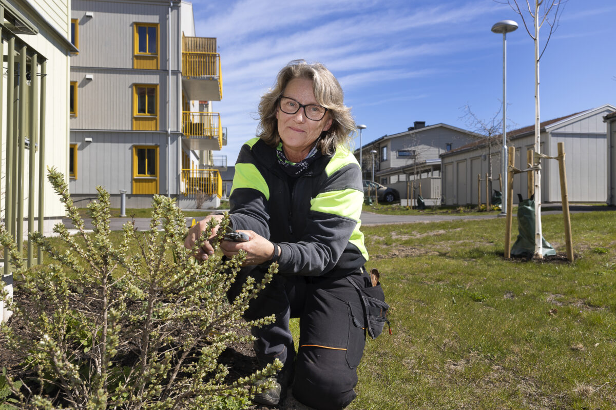 Foto: Förhandsbild från källan: Hem & Hyra