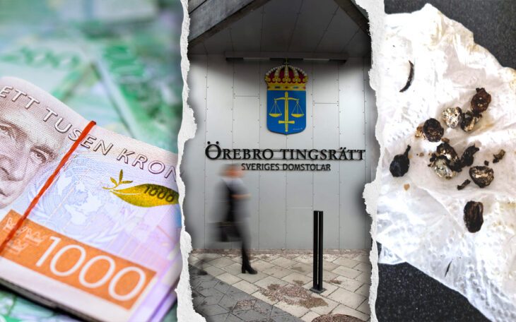 Ett kollage av tre bilder föreställandes tusenlappar, Örebro tingsrätt och fågelbajs på ett papper.