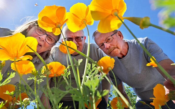 Tre personer syns bakom gula vackra blommor. De hukar sig ner och tittar in i kameran. Närbild. Bakom trion syns en knallblå himmel.