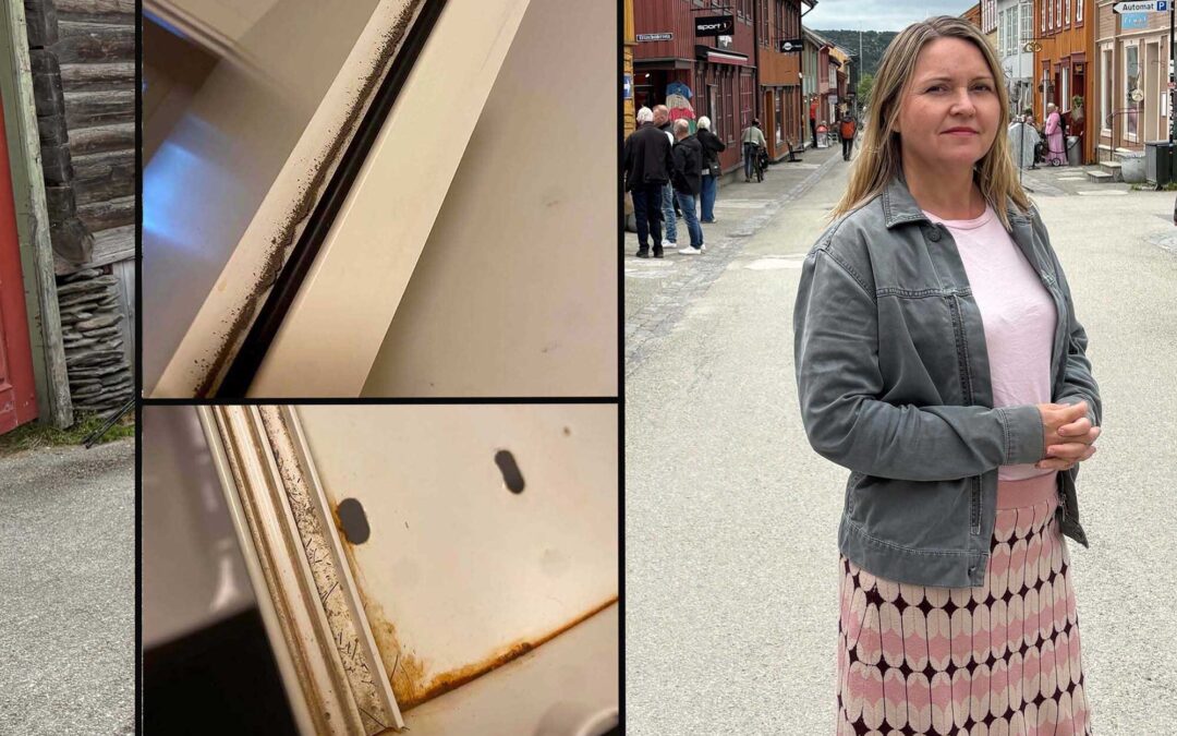 Två bilder på smuts i dels badrumsskåp och dörrkarm, samt en bild på en kvinna i långkjol.