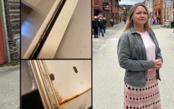 Två bilder på smuts i dels badrumsskåp och dörrkarm, samt en bild på en kvinna i långkjol.