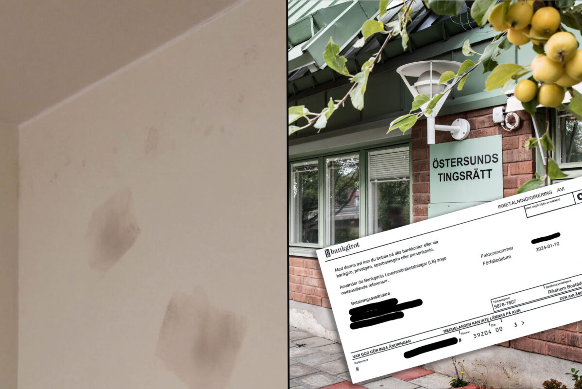 Foto: Förhandsbild från källan: Hem & Hyra