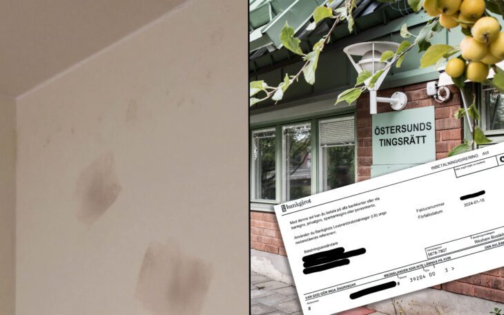 Montage med tre bilder: En på en flammigt målad vägg, en exteriörbild på tingsrätten i Östersund och en bild på en räkning.
