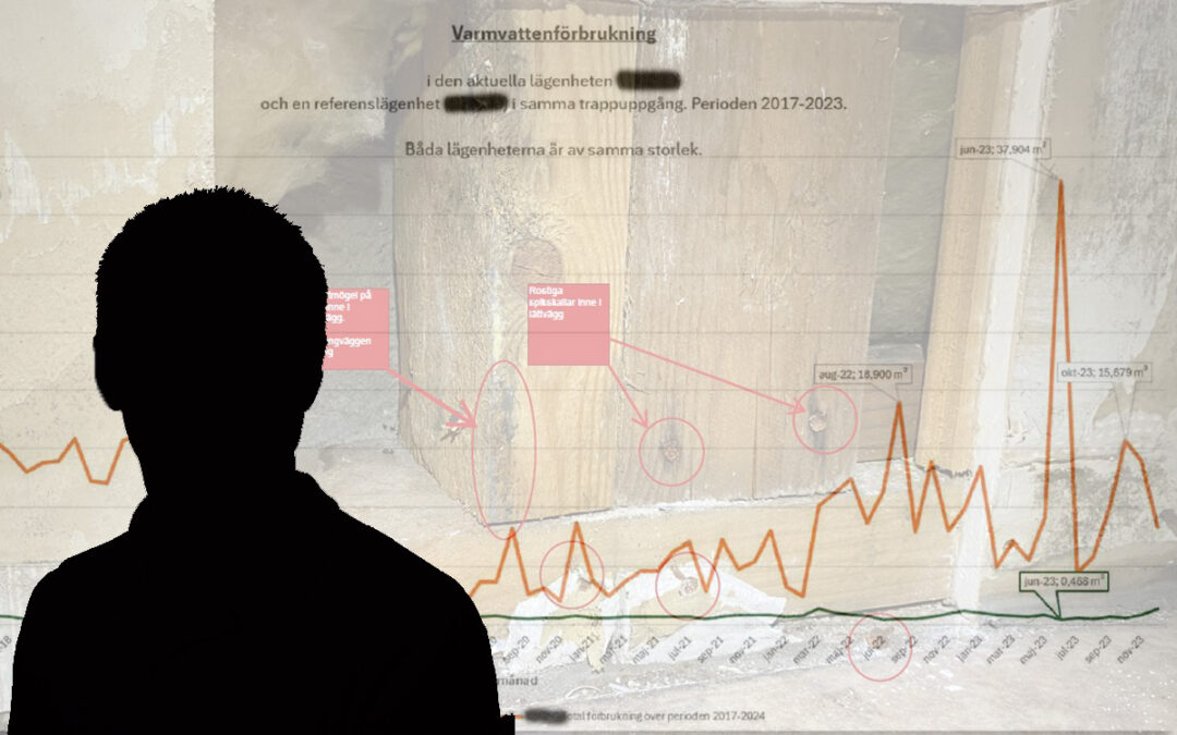 Under en månad ska 37 000 liter varmvatten ha använts i lägenheten, en extremt hög användning enligt bostadsbolaget.