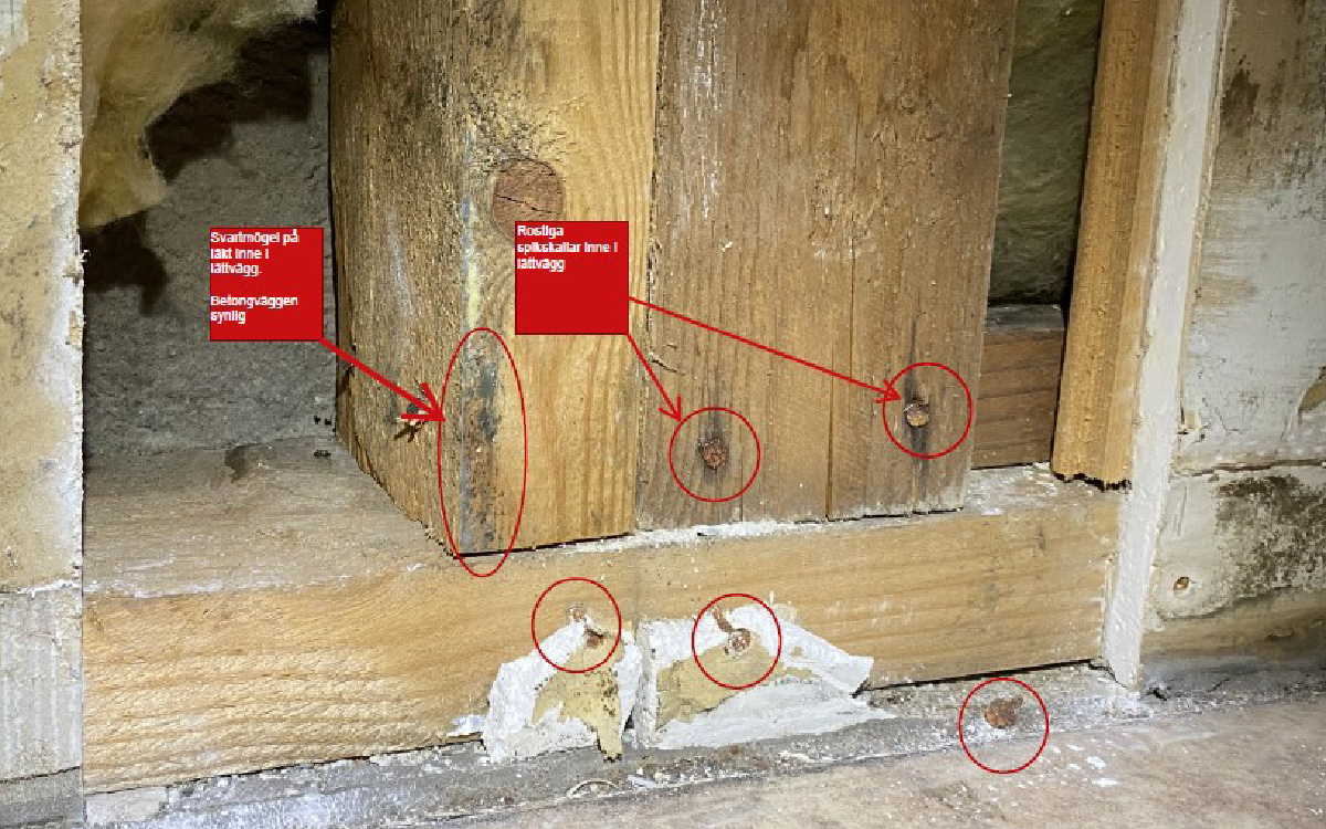 Vid en besiktning upptäcktes rostiga spikar och svartmögel, som ska ha orsakats av fukt- och vattenskador.