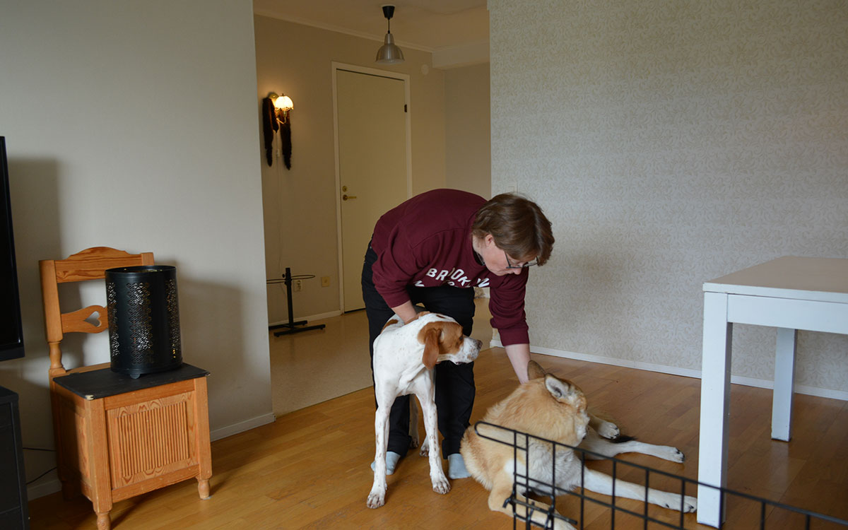 Ann-Charlott Törnman med sina hundar i Fällfors.