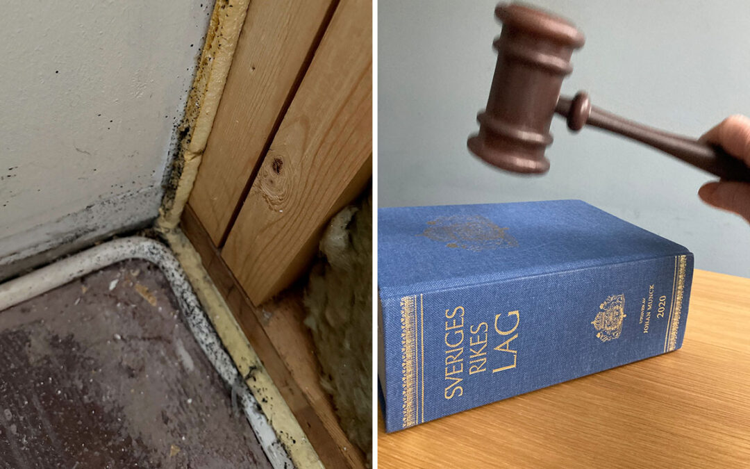 Domarklubba, löss på vägg
