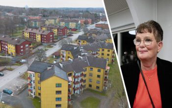 En tvådelad bild. Ett hus och en kvinna.