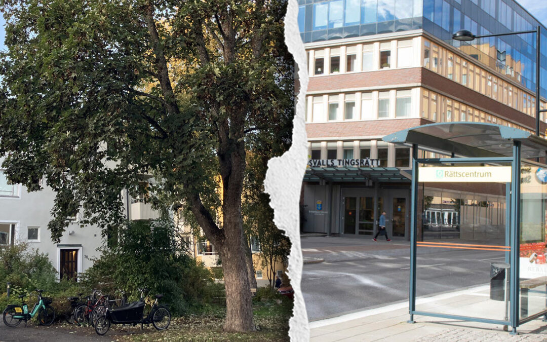 Till vänster en bild på ett högt grönskande träd framför en fastighet. Till höger tingsrätten i Sundsvall. Framför byggnaden är en busshållplats där det står Rättscentrum.