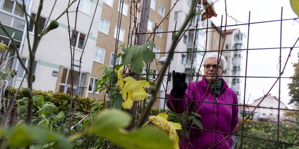 Gunilla Ericsson, boende i stadsdelen Augustenborg