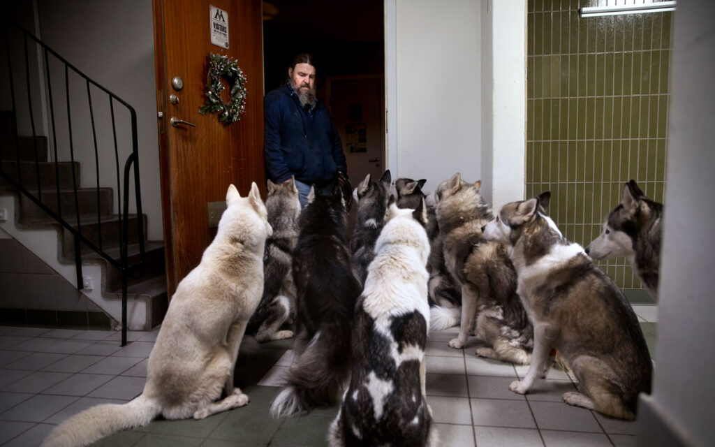 Carl Mikael Bengtsson och hans nio hundar i trapphuset.