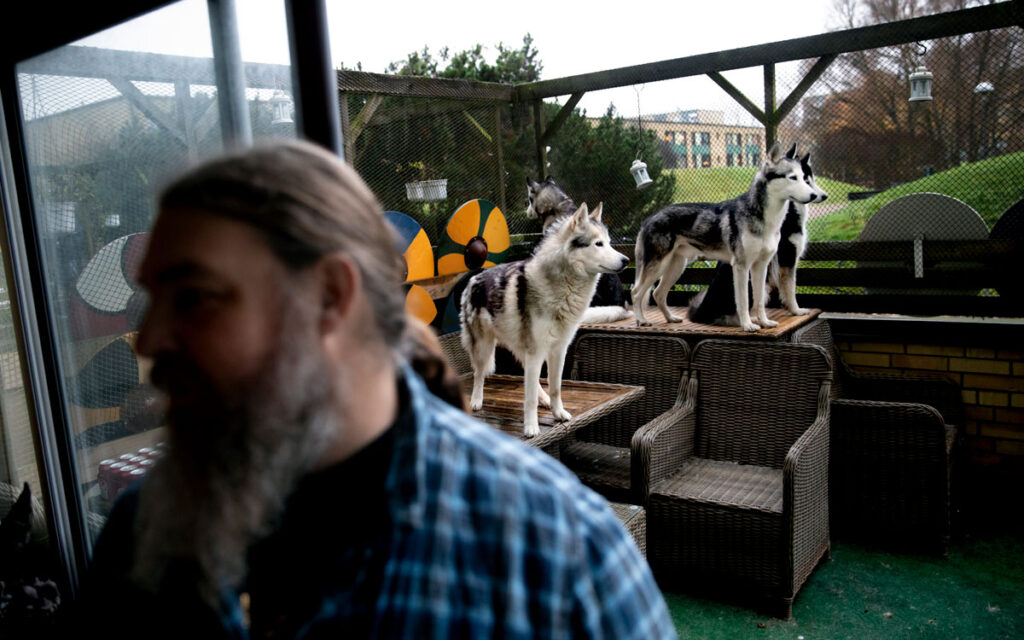 Carl Mikael Bengtsson och hans hundar på uteplatsen.