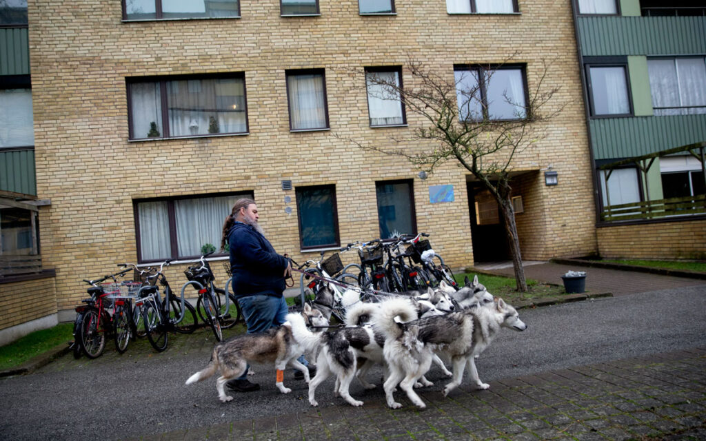 Carl Mikael Bengtsson med sina hundar på Bellevuegården i Malmö.