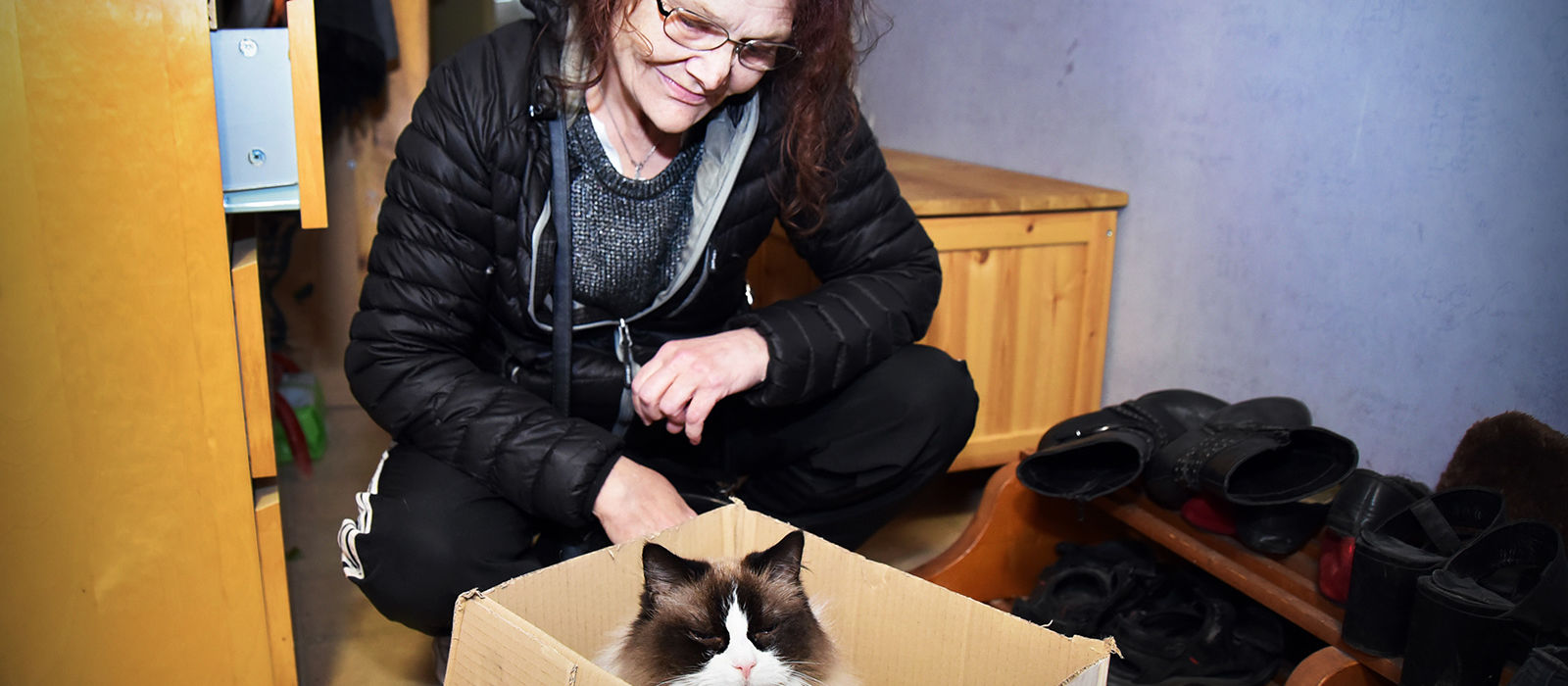 En kvinna i övre medelåldern tittar ner på en katt i en flyttlåda.