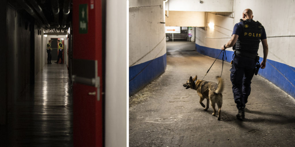 Poliser letar vapen och narkotika i hyreshus