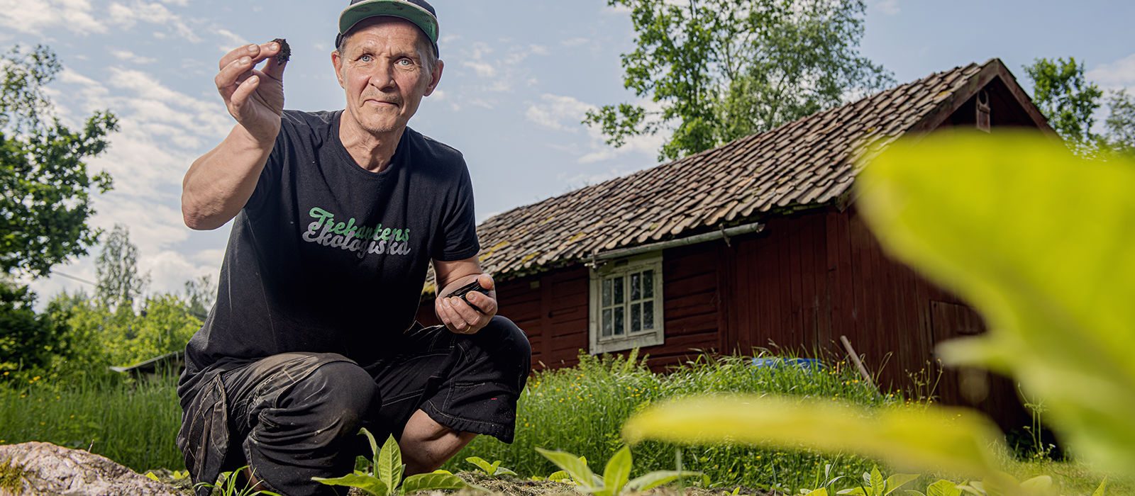 Thomas Sändh gör sitt eget snus på lantstället